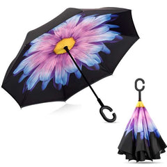 Collection image for: New Monsoon Arrivals