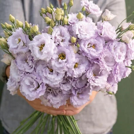 Lisianthus Seeds