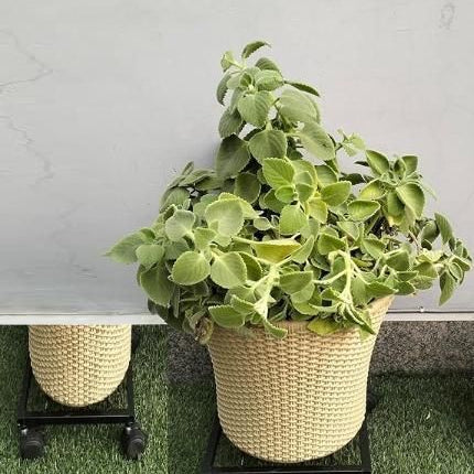 Wheel Pot Stand For Planters