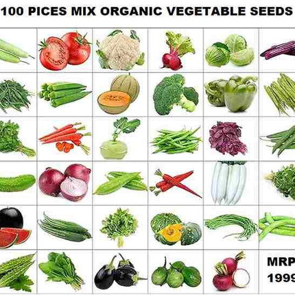 Organic Mix Varieties 100 Pices Seeds With 5 Pices Grow Bag