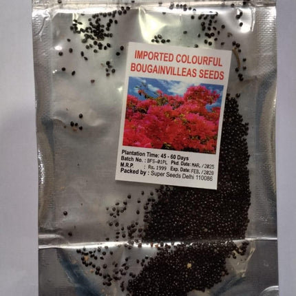 Mix Colour Bougainvillea Flower Seeds For Home Garden