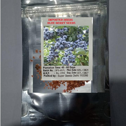 Giant Blueberry Fruit Seeds