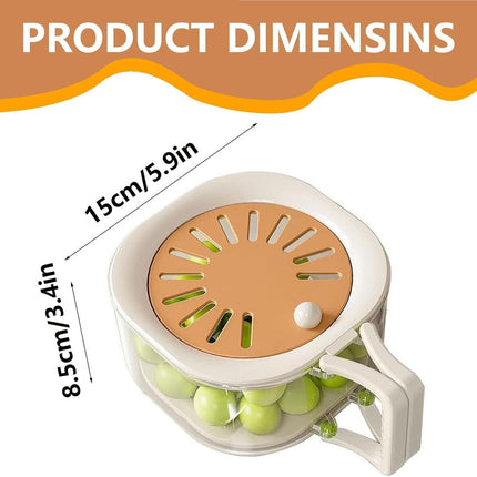 Fruit Drain Basket